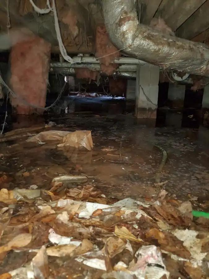 Crawl space flood assessment for Leak Detection & Repair in Truckee