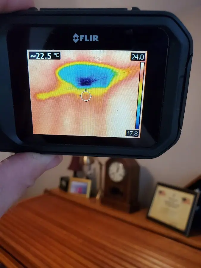 Thermal imaging inspection for water damage in Truckee