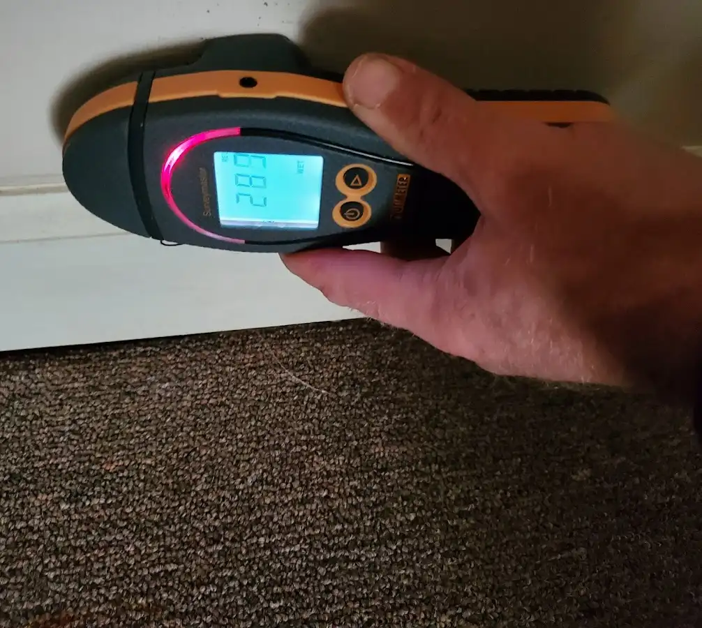 Moisture detection at baseboard during Mold Inspection & Testing in Truckee